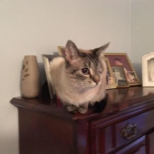 Meet your Posher, Cathy